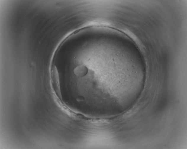 X0000068830864200605081211