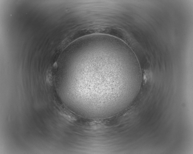 X0000068830867200605081211