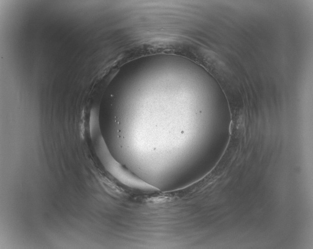 X0000068830868200605081211