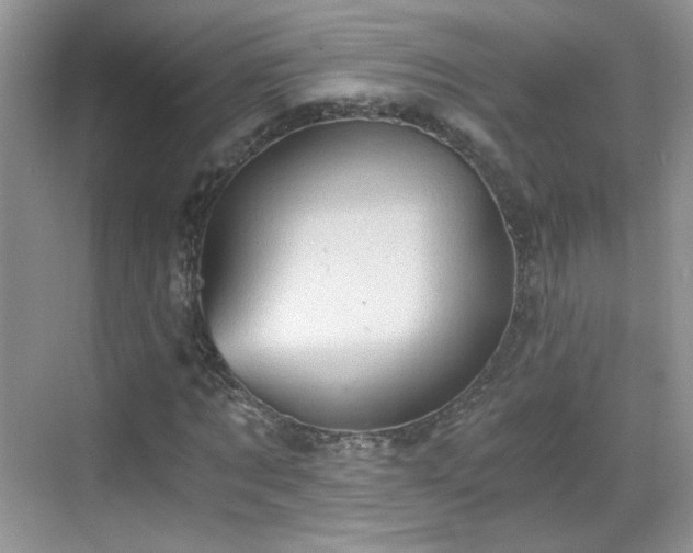 X0000068830869200605081211