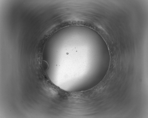 X0000068830870200605081211