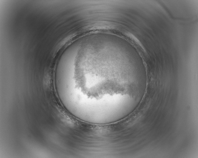 X0000068830874200605081211