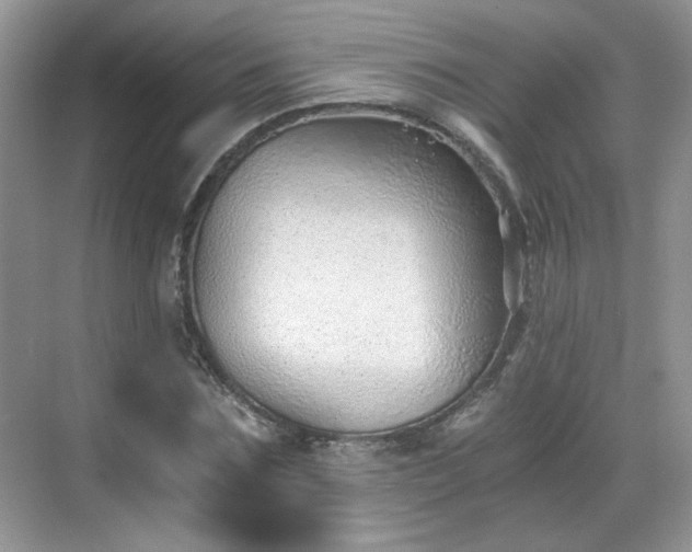 X0000068830875200605081210