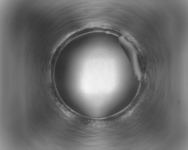 X0000068830877200605081210