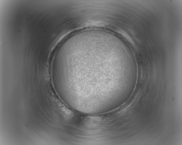 X0000068830878200605081210