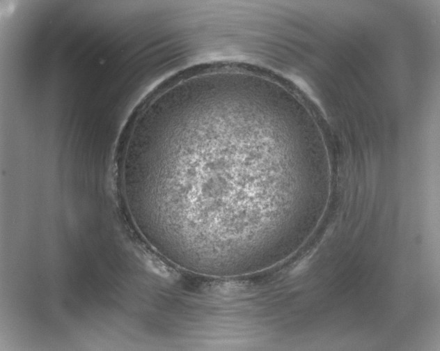 X0000068830879200605081210