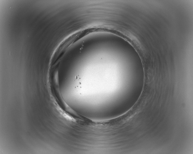 X0000068830880200605081210