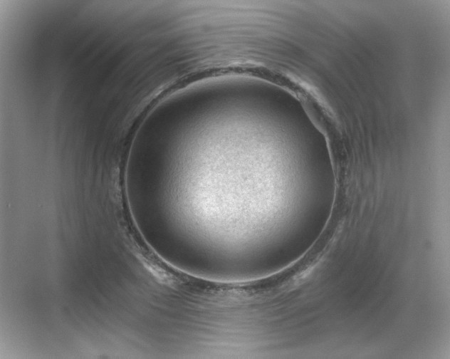 X0000068830881200605081210