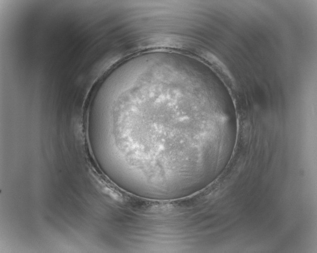 X0000068830882200605081210