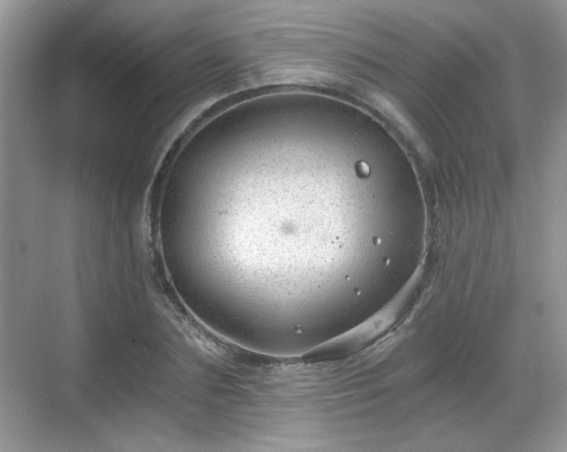 X0000068830883200605081210