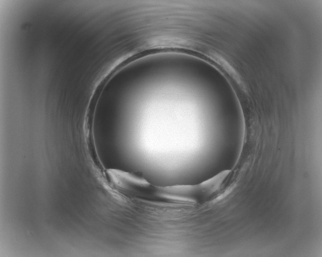 X0000068830885200605081210