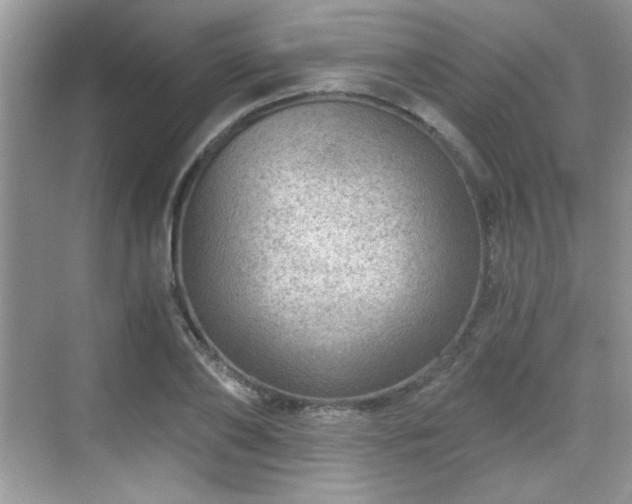 X0000068830886200605081210