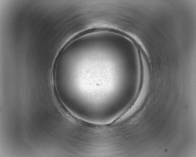 X0000068830887200605081210