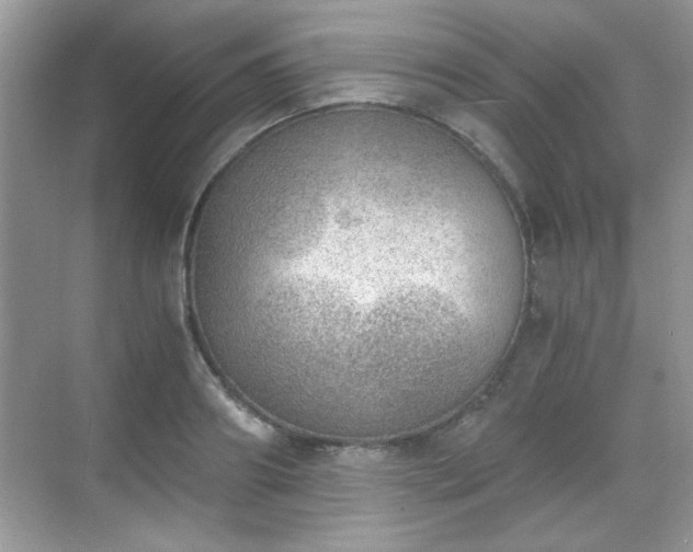 X0000068830890200605081210