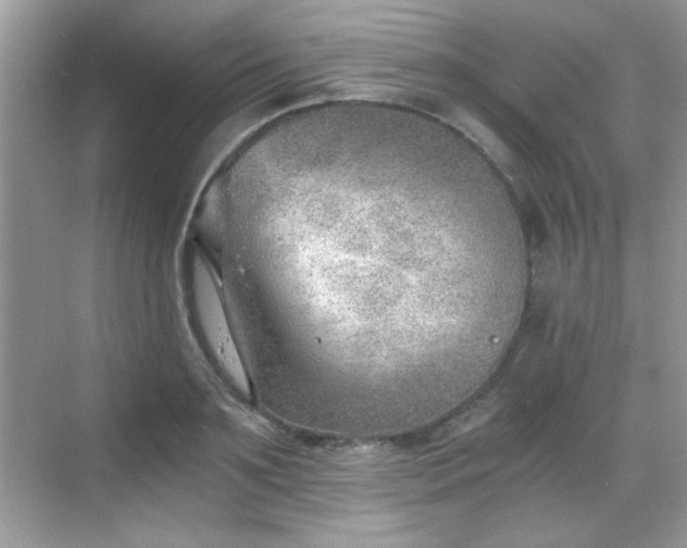 X0000068830891200605081210