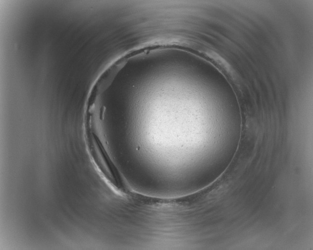 X0000068830894200605081210