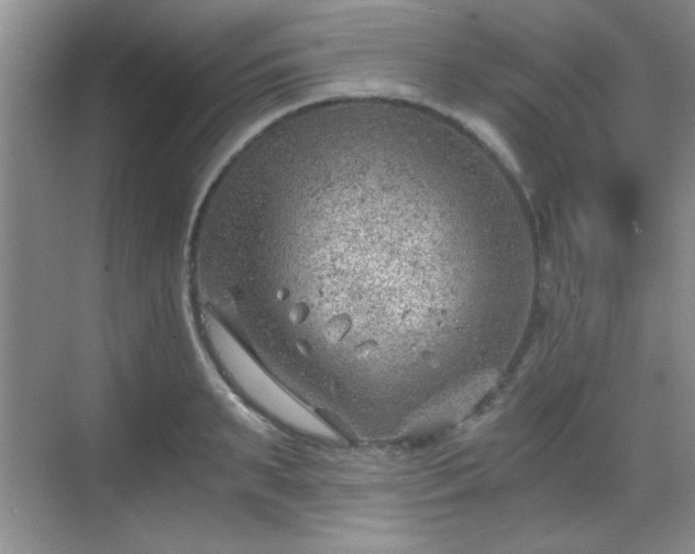 X0000068830895200605081210