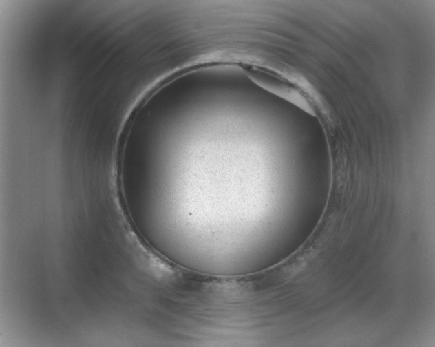 X0000068830896200605081210