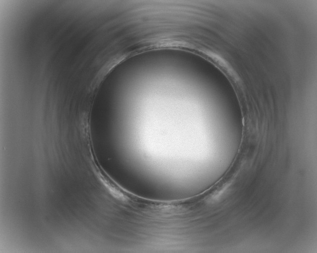 X0000068830897200605081210