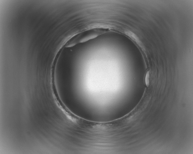 X0000068830898200605081210