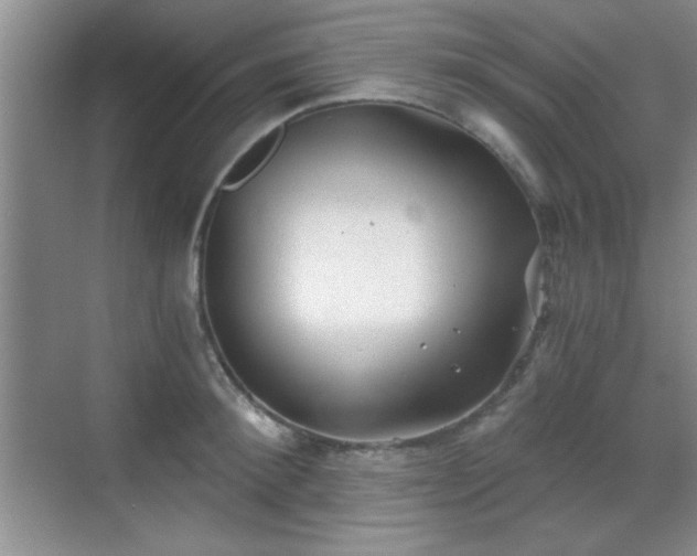 X0000068830900200605081210