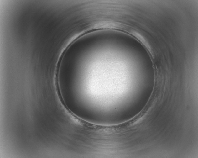 X0000068830901200605081210