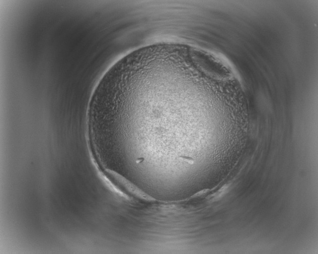 X0000068830903200605081210