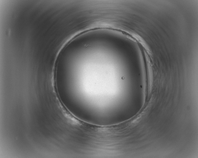 X0000068830904200605081210