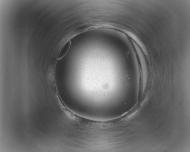 X0000068830905200605081210