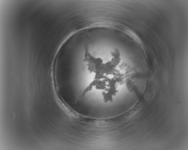 X0000068830907200605081210