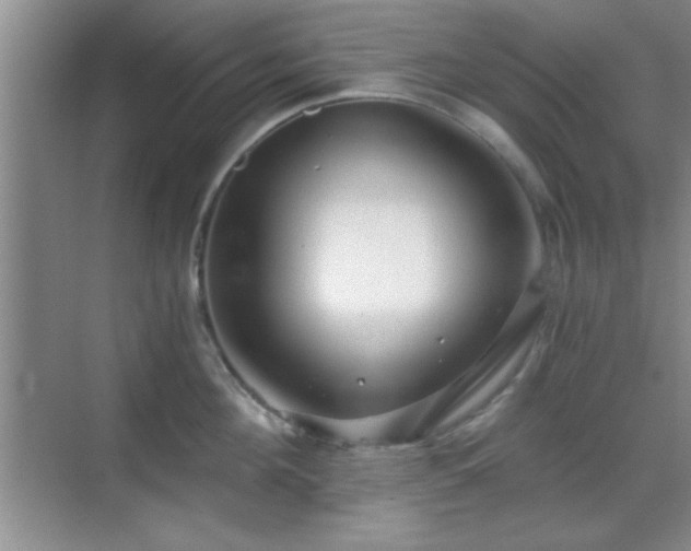 X0000068830908200605081210