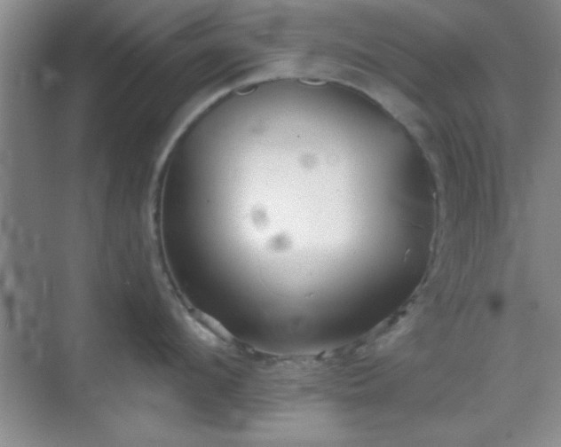 X0000068830912200605081210