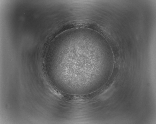 X0000068830913200605081209