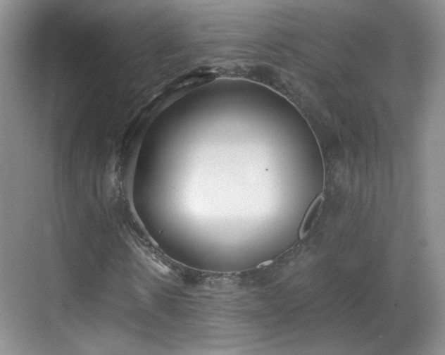 X0000068830914200605081209