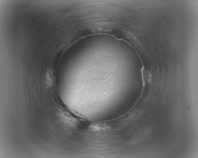 X0000068830915200605081209