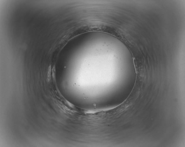 X0000068830916200605081209