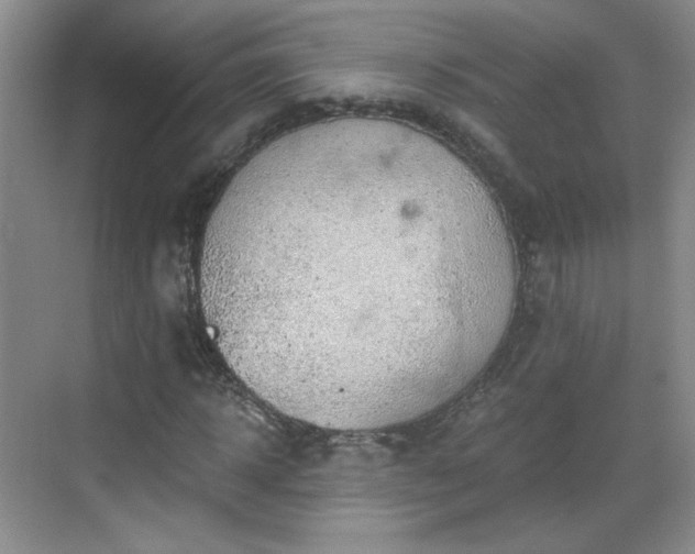 X0000068830918200605081209