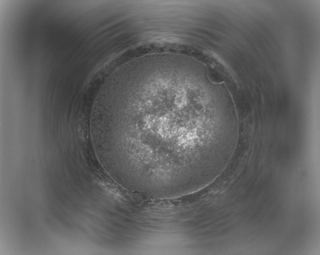 X0000068830919200605081209