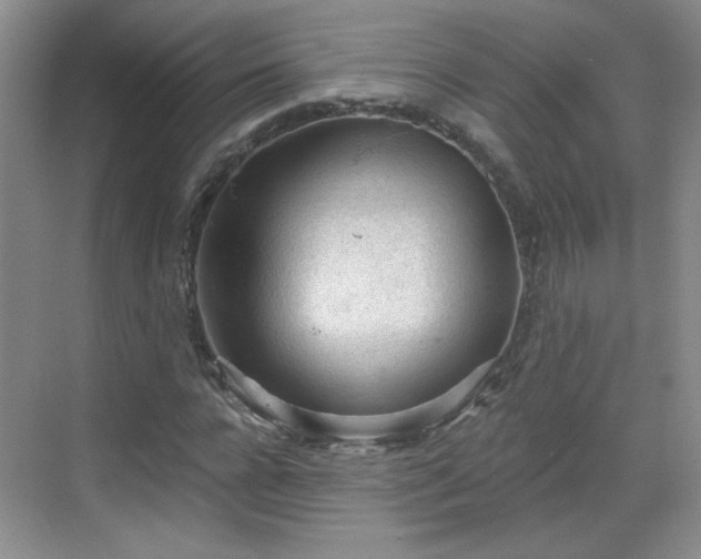 X0000068830920200605081209