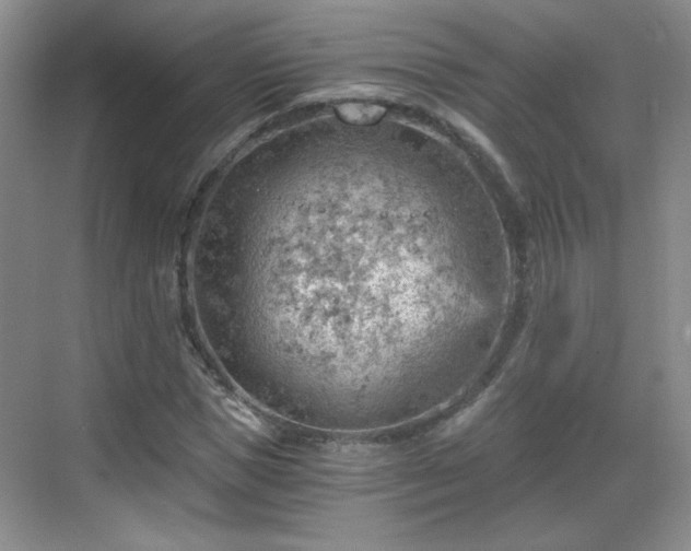 X0000068830921200605081209