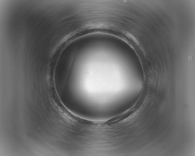 X0000068830922200605081209