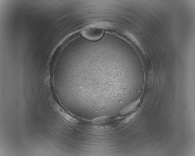 X0000068830923200605081209