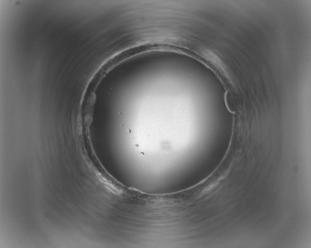 X0000068830924200605081209