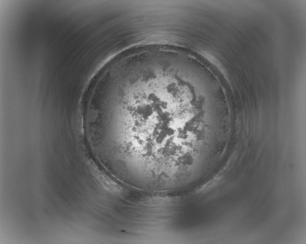 X0000068830925200605081209