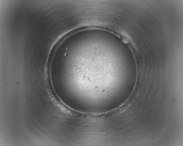 X0000068830928200605081209