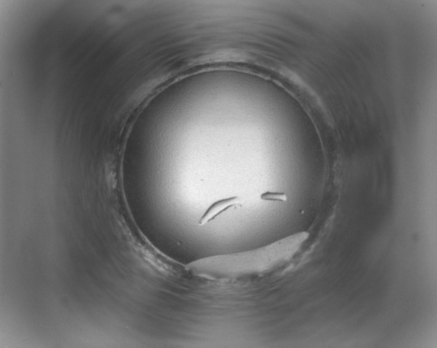 X0000068830929200605081209