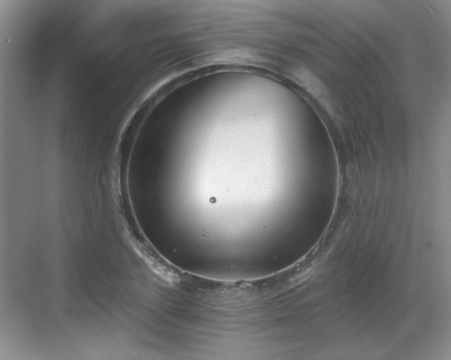 X0000068830931200605081209