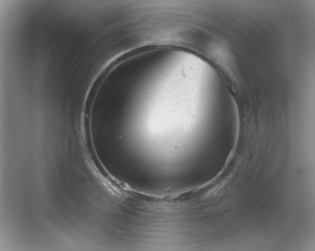 X0000068830932200605081209