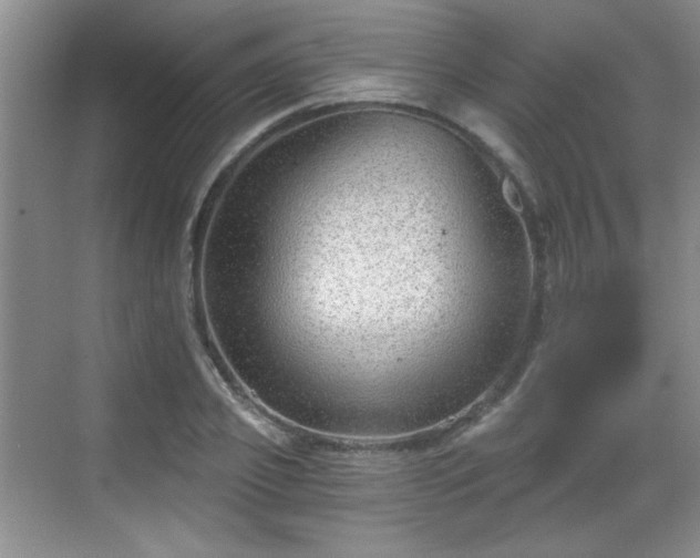 X0000068830933200605081209