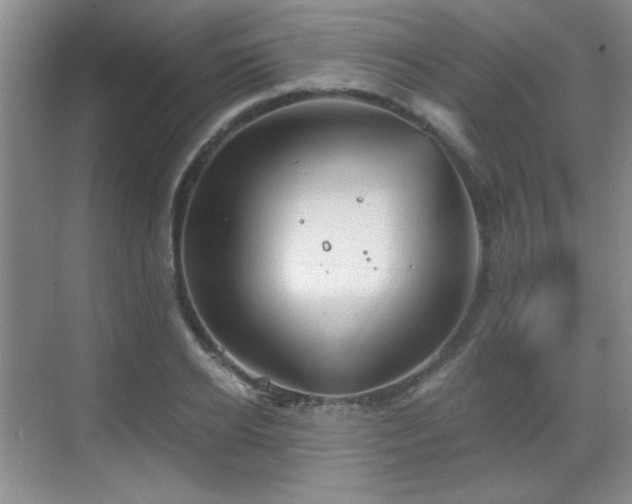 X0000068830934200605081209